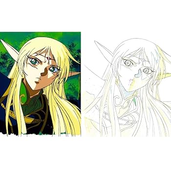 セル画＋動画　ロードス島戦記　OVA　ディードリット　出渕裕　結城信輝 セル画＋動画 ロードス島戦記 OVA ディードリット キャラ原案